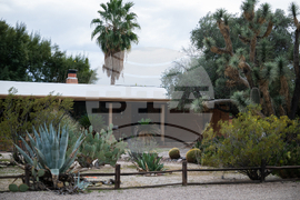 Savannah Guthrie Mom Missing