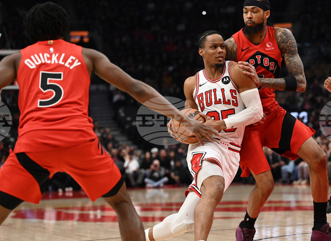 Bulls Raptors Hockey