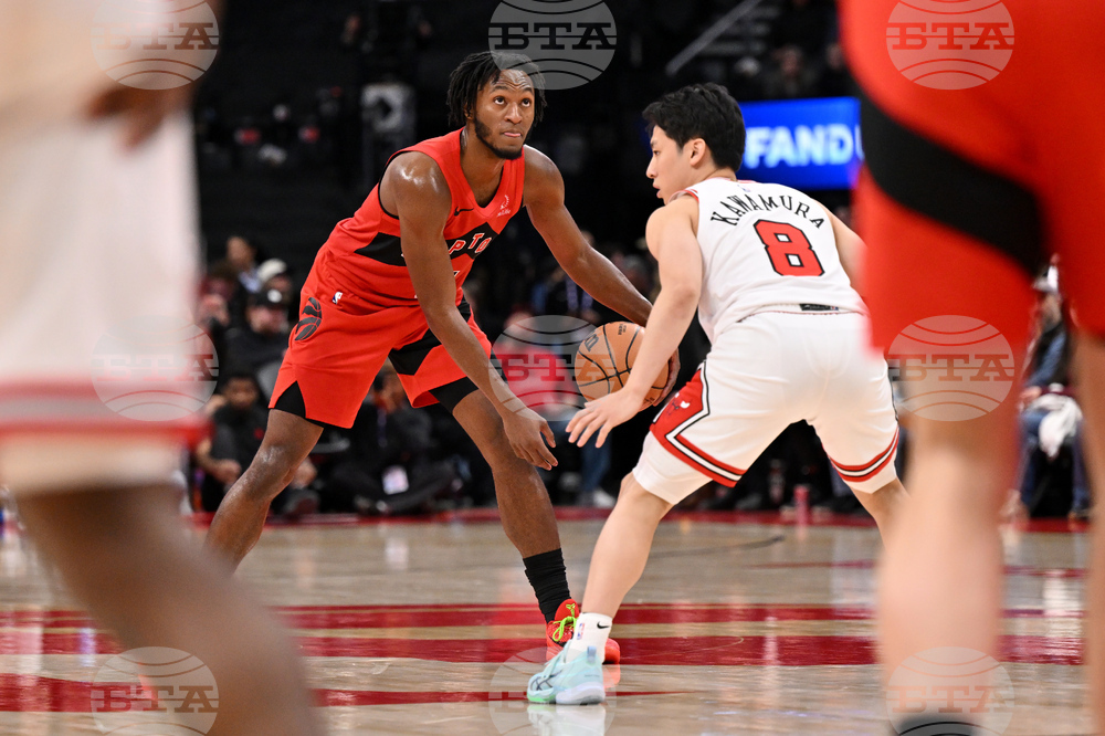 Bulls Raptors Hockey