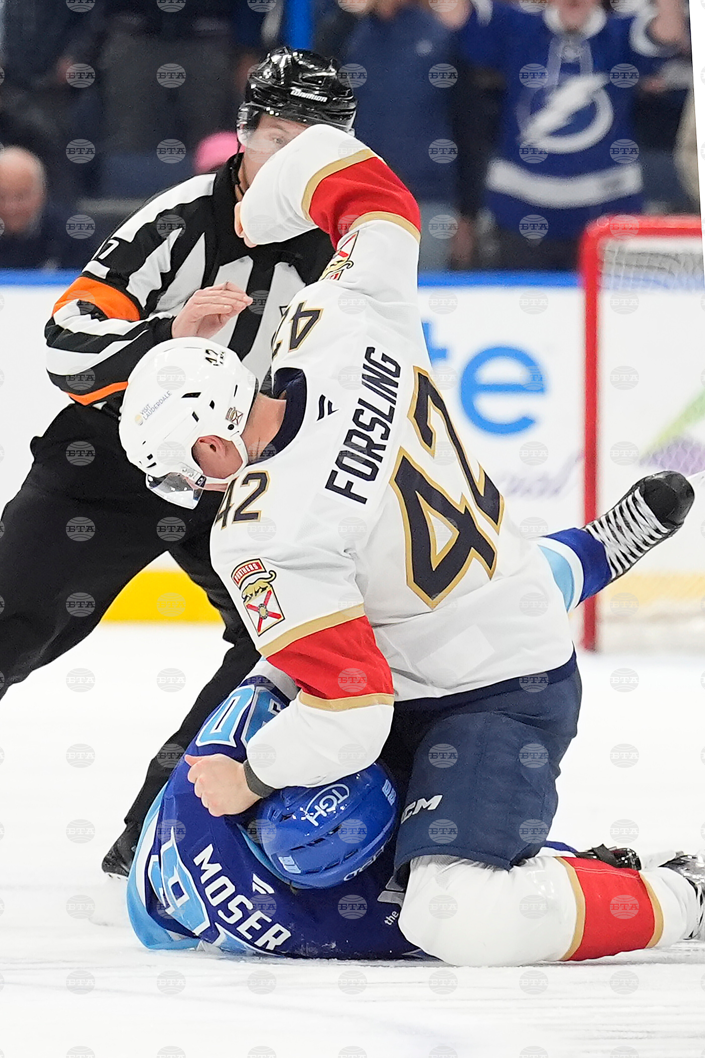 Panthers Lightning Hockey