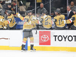 Kings Golden Knights Hockey