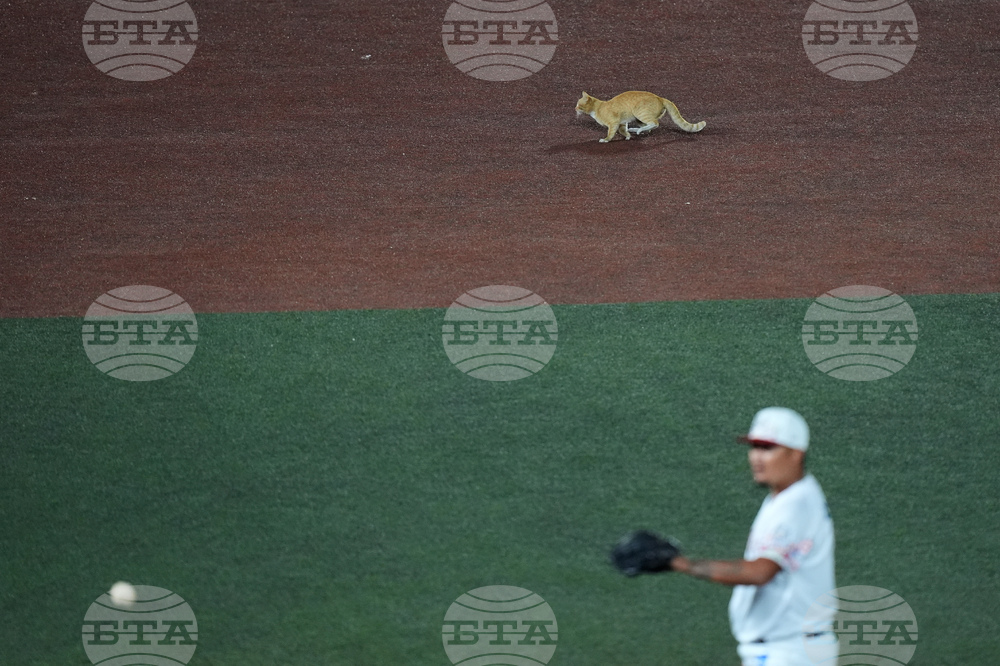 APTOPIX Mexico Dominican Republic Baseball