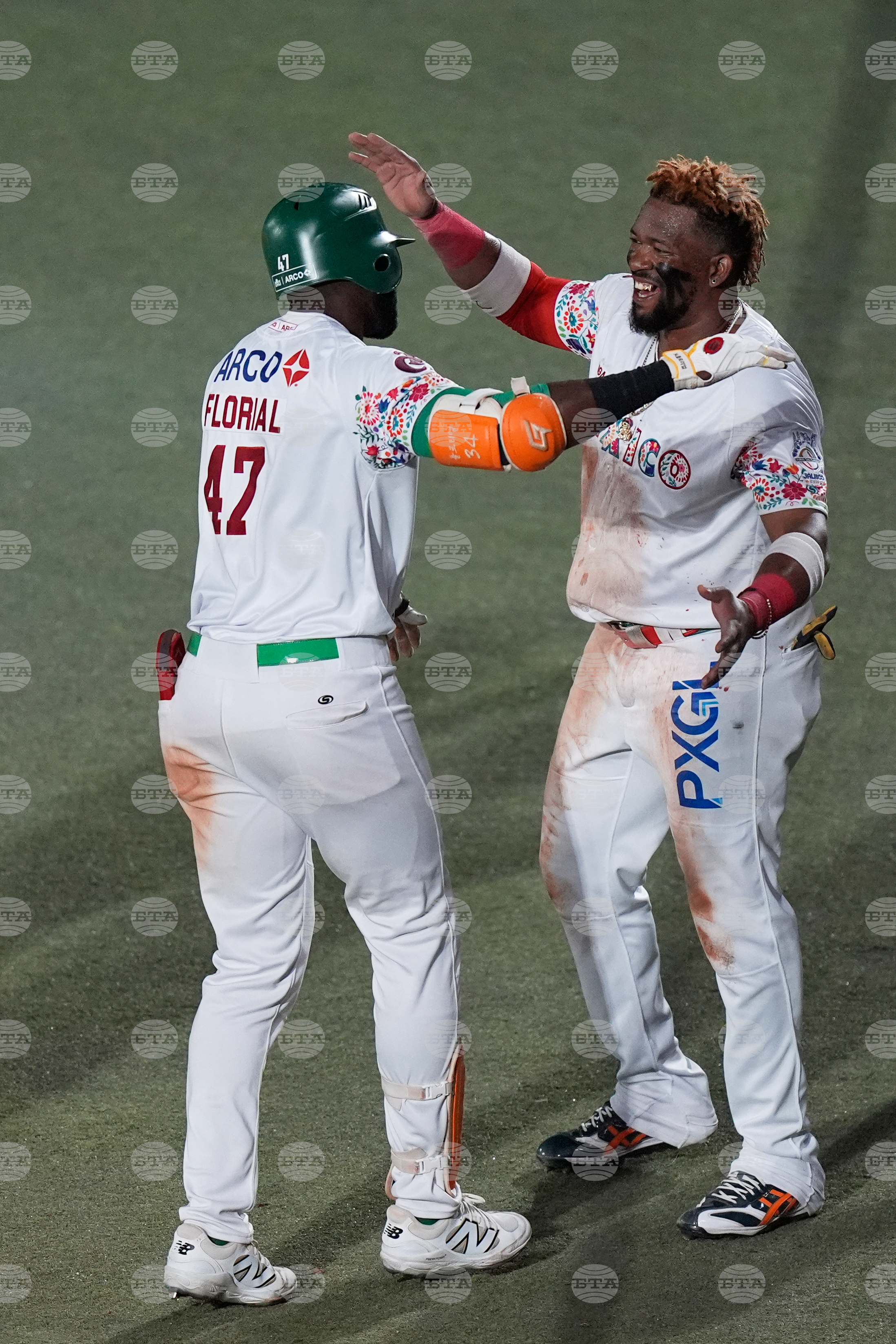 Mexico Dominican Republic Baseball