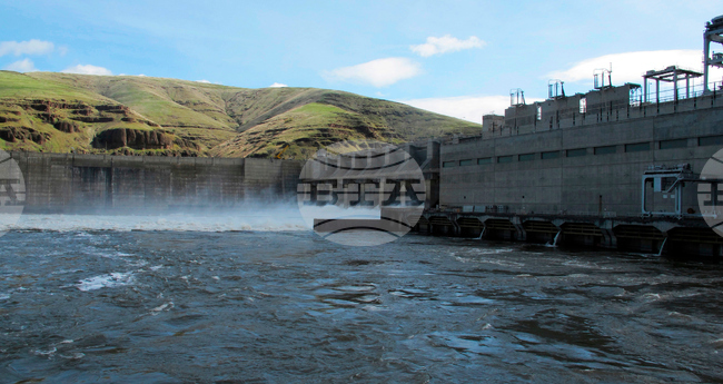 Biden Northwest Dams