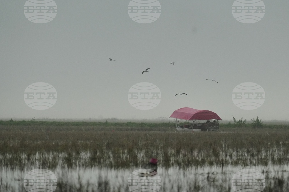 Climate Rice and Crawfish Pests