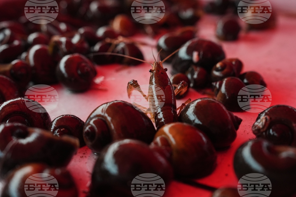 Climate Rice and Crawfish Pests