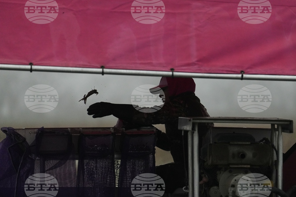 Climate Rice and Crawfish Pests