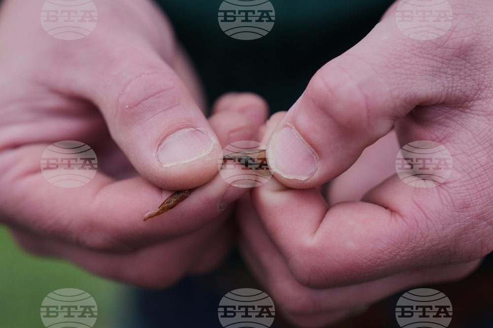 Climate Rice and Crawfish Pests