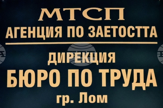В Бюрото по труда в Лом са заявени две свободни работни места за висококвалифицирани специалисти