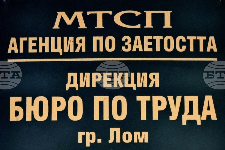 Три свободни работни места за висококвалифицирани специалисти са обявени в