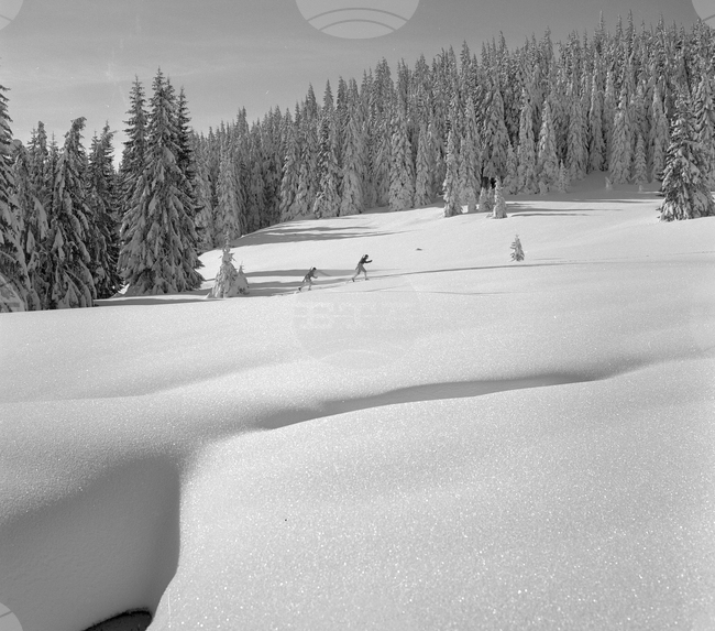 Подготовка в Родопите под връх Снежанка
