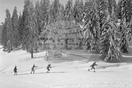 Подготовка в Родопите под връх Снежанка