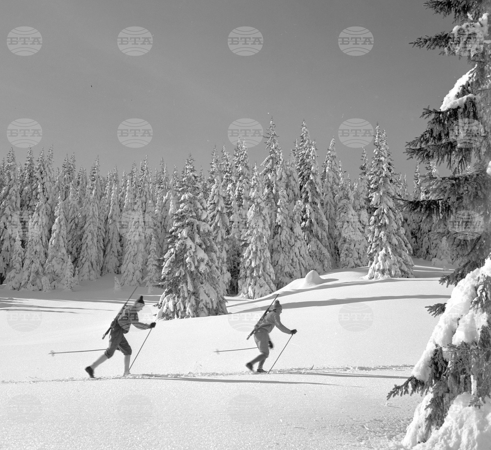 Подготовка в Родопите под връх Снежанка