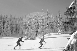 Подготовка в Родопите под връх Снежанка