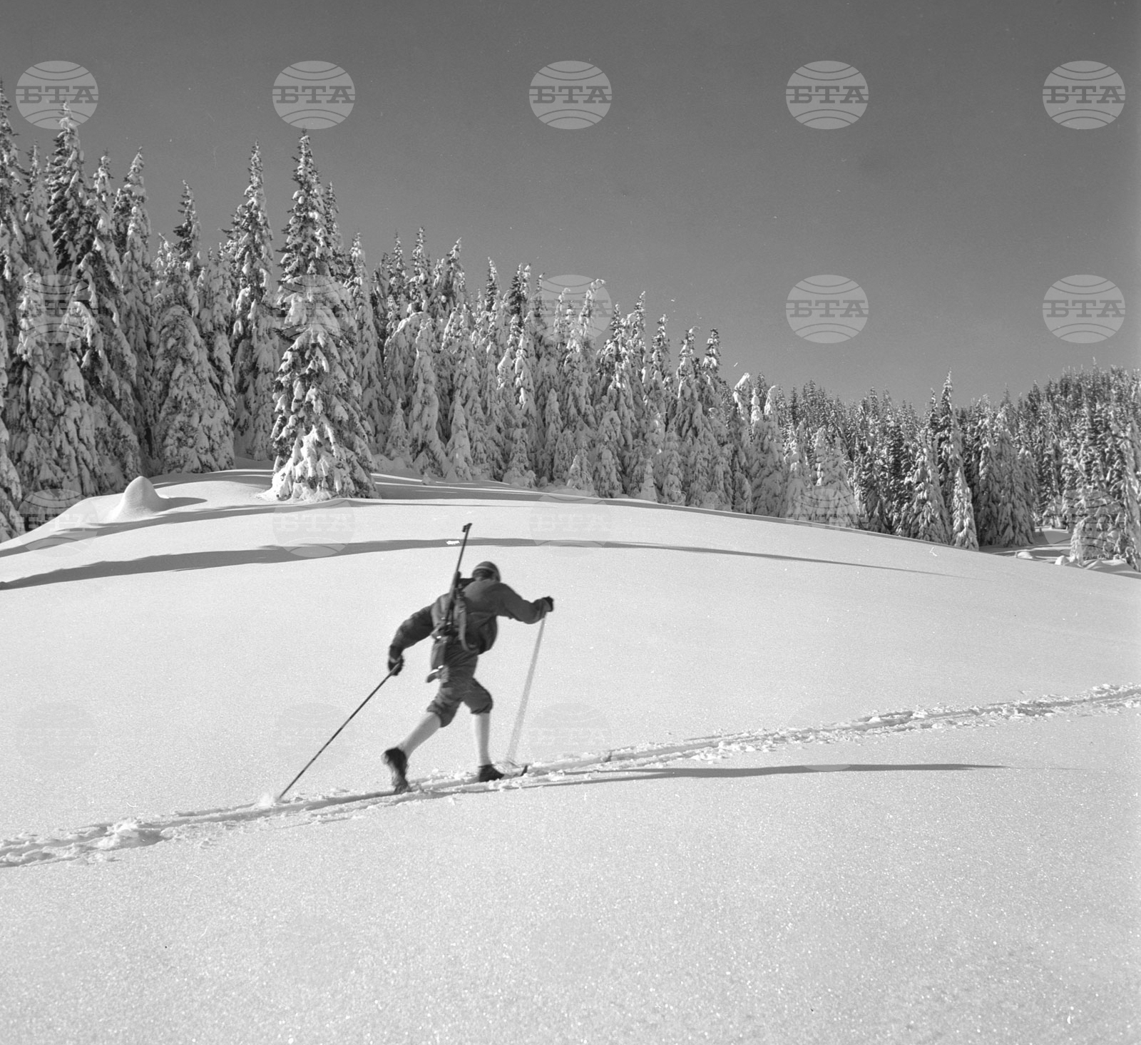 Подготовка в Родопите под връх Снежанка