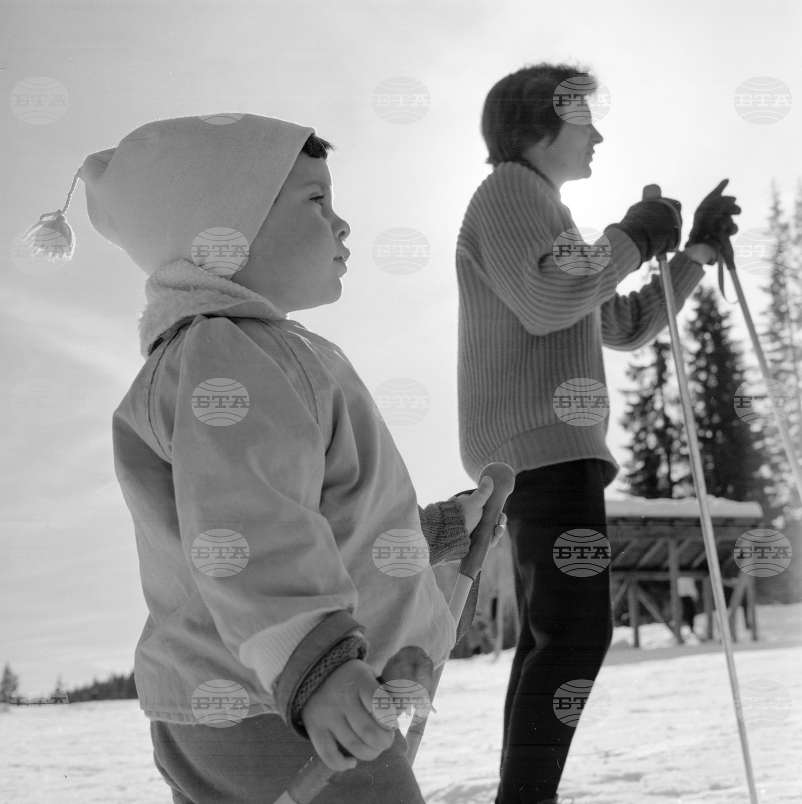 Зима в Родопите