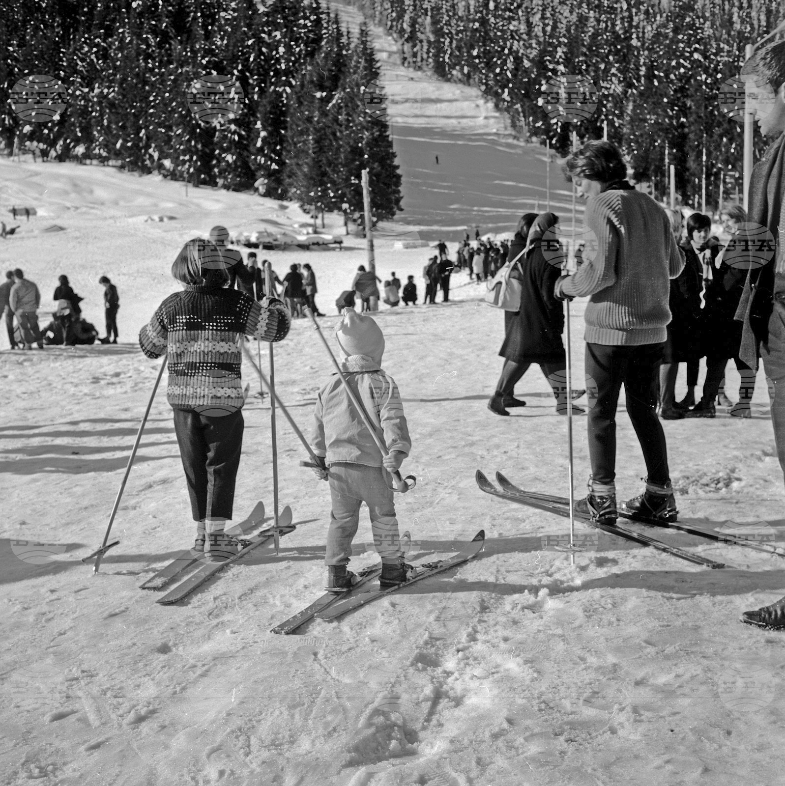 Зима в Родопите