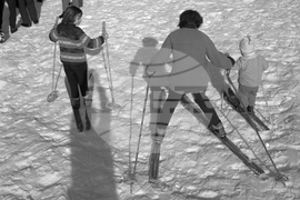 Зима в Родопите