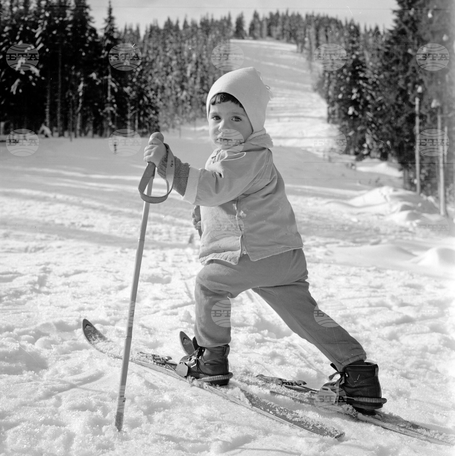 Зима в Родопите