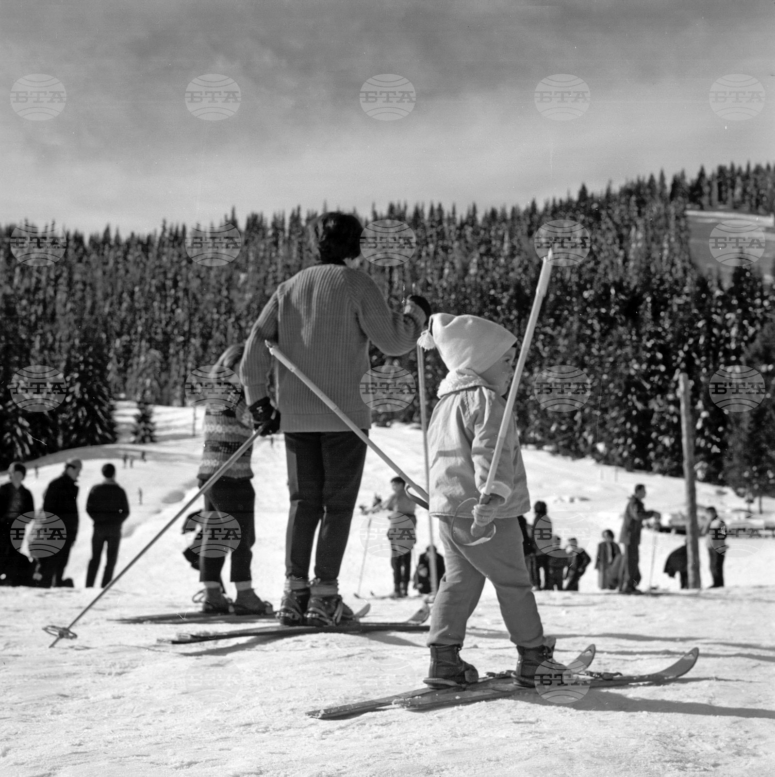 Зима в Родопите