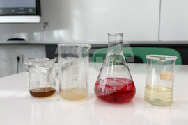 Момин проход - STEM-център - откриване