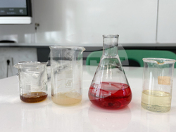 Момин проход - STEM-център - откриване