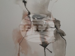 Христо Харалампиев показва рисунки и скулптури в нова изложба, снимка – Vejdi