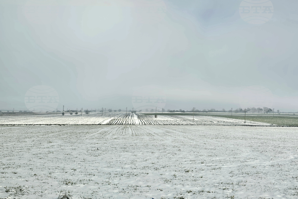 Прогноза за времето