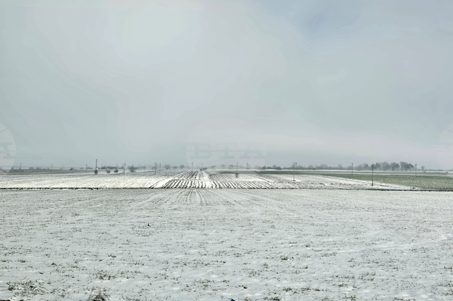 Прогноза за времето