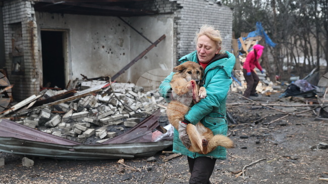 При руска въздушна атака е ударен приют за кучета в украинския град Запорожие; 13 кучета са загинали