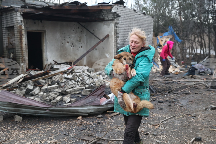 При руска въздушна атака е ударен приют за кучета в