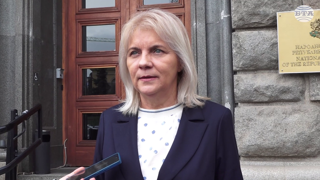Не смятам, че са нарушени конституционни права, на който и да е български гражданин, каза Мая Димитрова за промените в Изборния кодекс