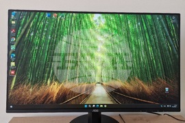 Асеновград - Младежки център - откриване