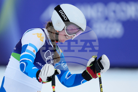 Milan Cortina Olympics Alpine Skiing