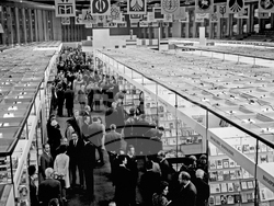 Международната година на книгата