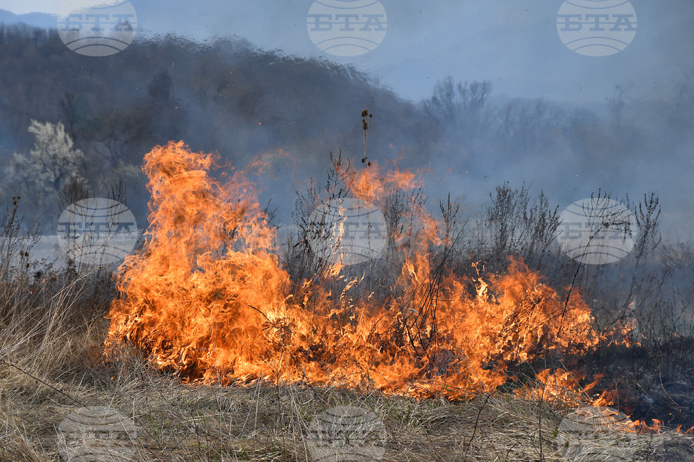 При сухото и топло за сезона време пожарите в Монтанско зачестяват