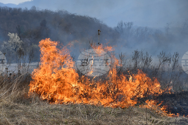 При сухото и топло за сезона време пожарите в Монтанско зачестяват