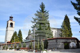 Банско - щъркели - камбанария - храм