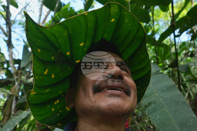 APTOPIX Ecuador Amazon Seeds