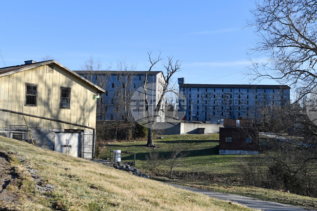 Four Roses Bourbon-Sale