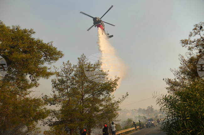 Cyprus-Fire Fighting Force