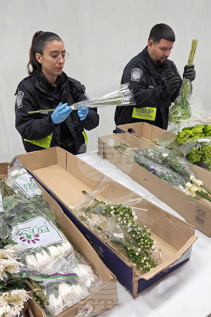 Valentine's Day Flowers