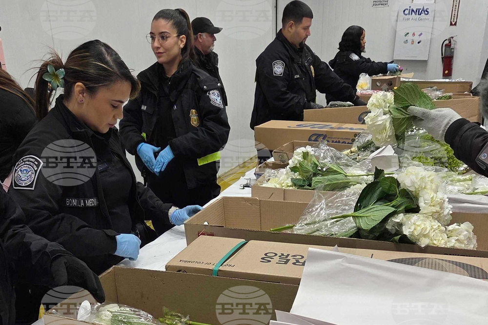 Valentine's Day Flowers