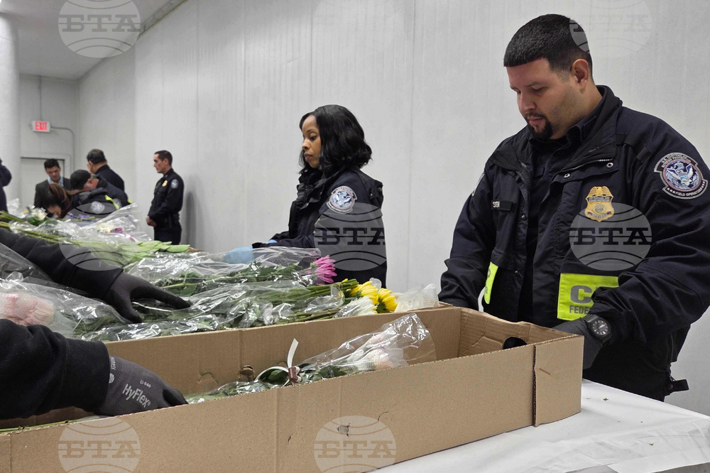 Valentine's Day Flowers