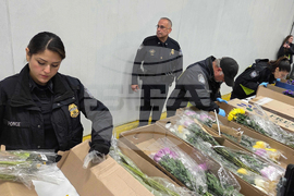 Valentine's Day Flowers