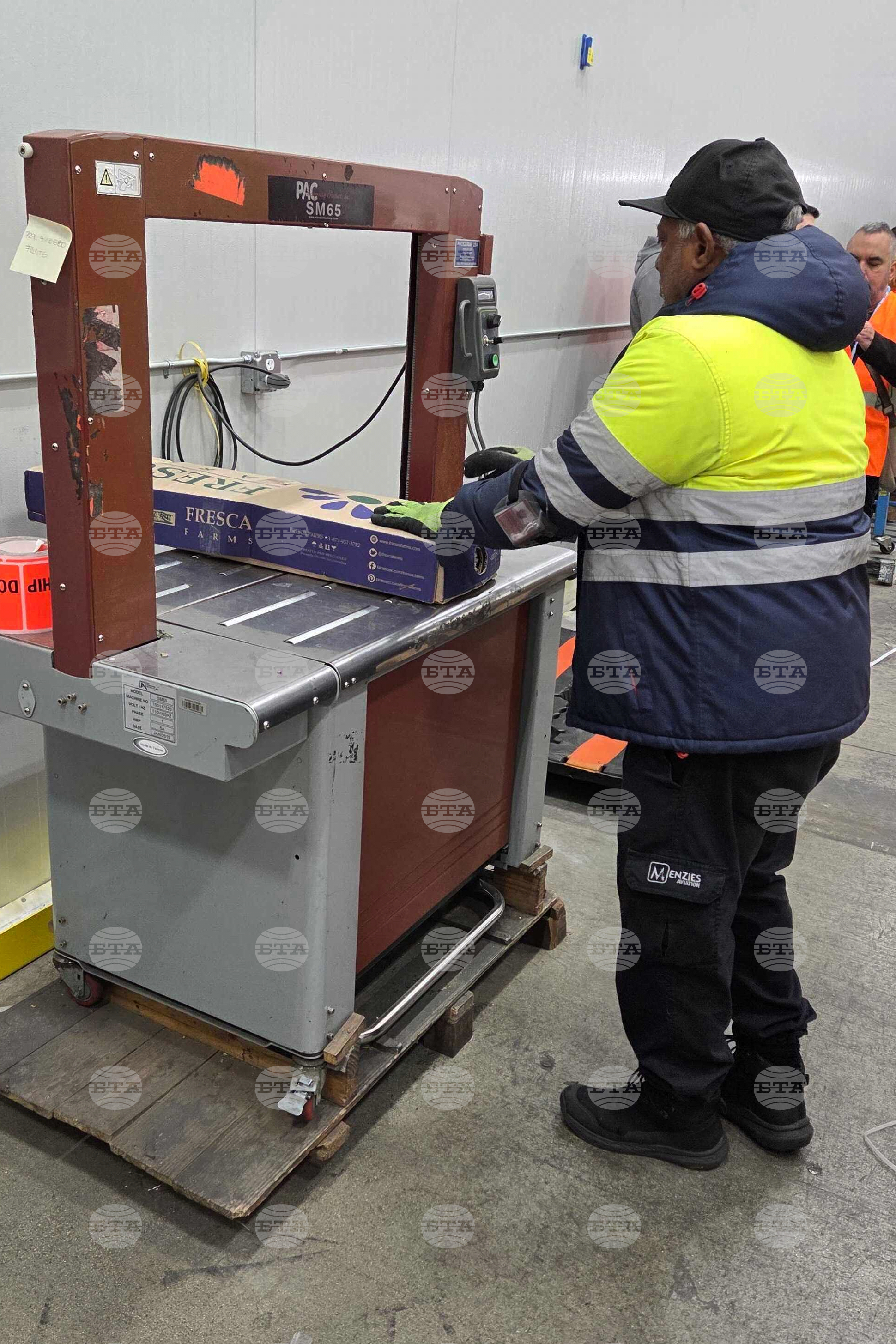 Valentine's Day Flowers