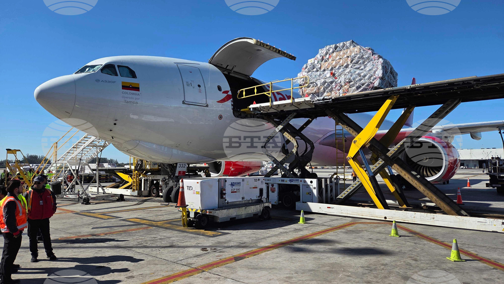 Valentine's Day Flowers