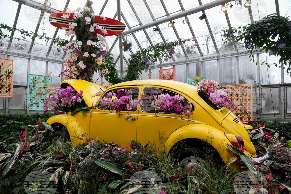 APTOPIX Orchid Show Chicago