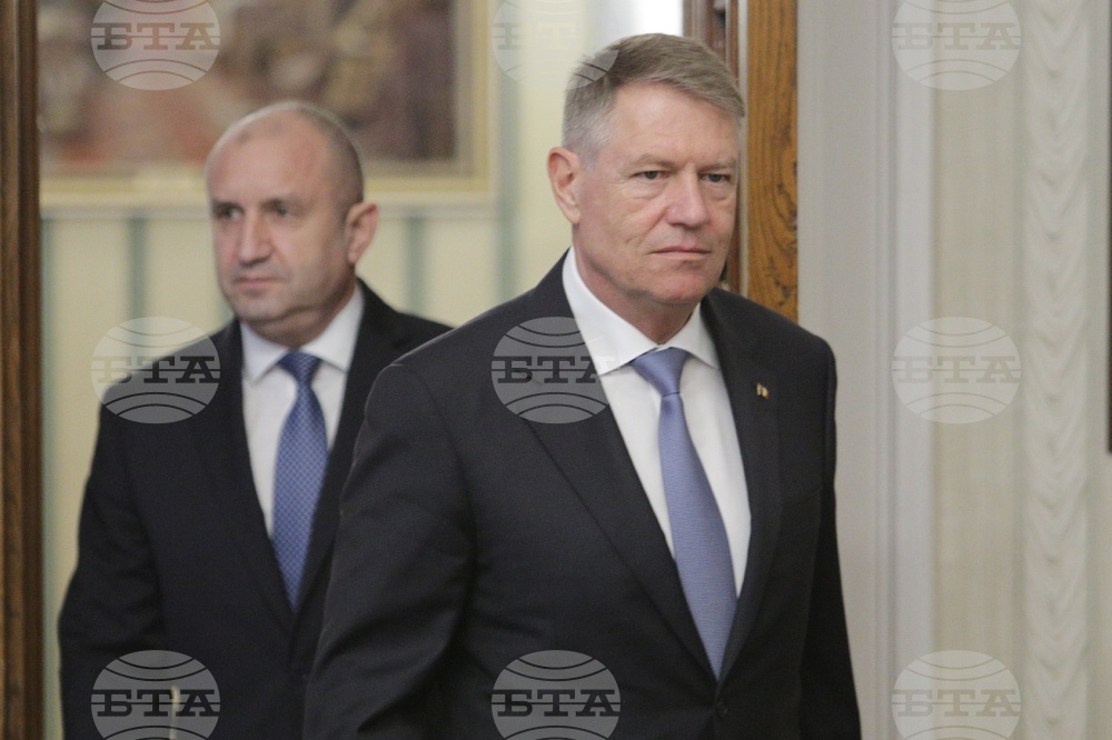 Румен Радев - Клаус Йоханис - пленарни разговори