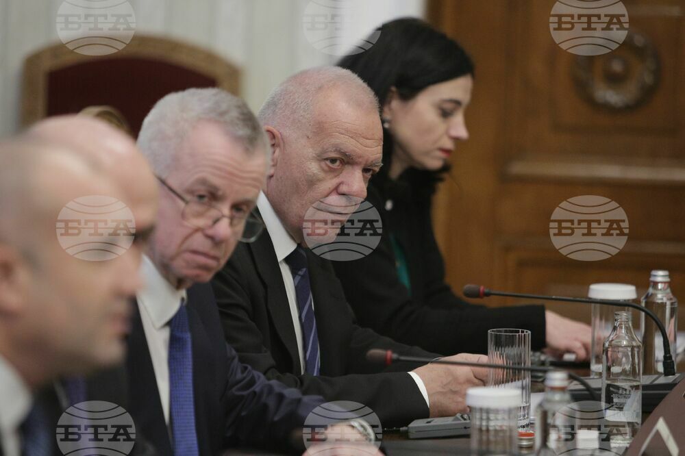 България - Румъния - президенти - пленарни разговори - Радко Влайков